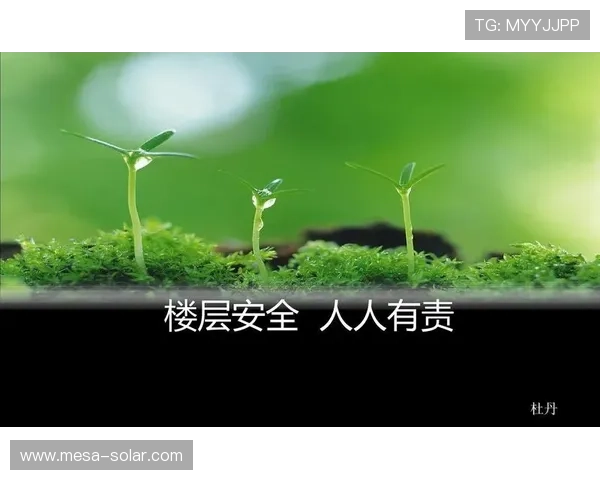 凯发二人麻将安全登录保障措施，确保玩家账号信息安全无忧