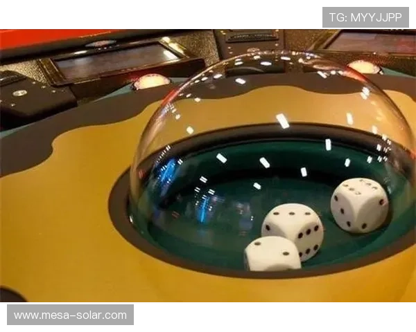 如何理解骰子赌大小的规则流程以及实用技巧提升你的游戏体验