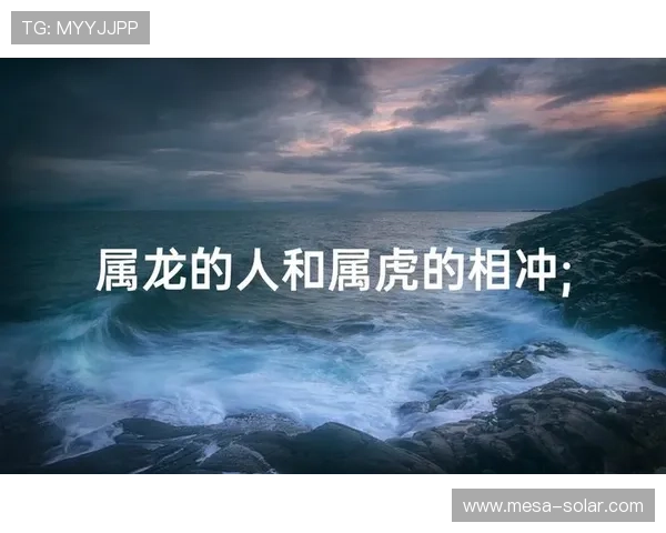 属龙属虎的命理配对在游戏中的应用：提升角色组合效果的实用建议与策略