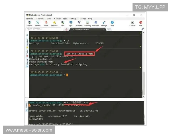 必赢体育下载详细教程让新手用户快速掌握下载安装流程与使用技巧