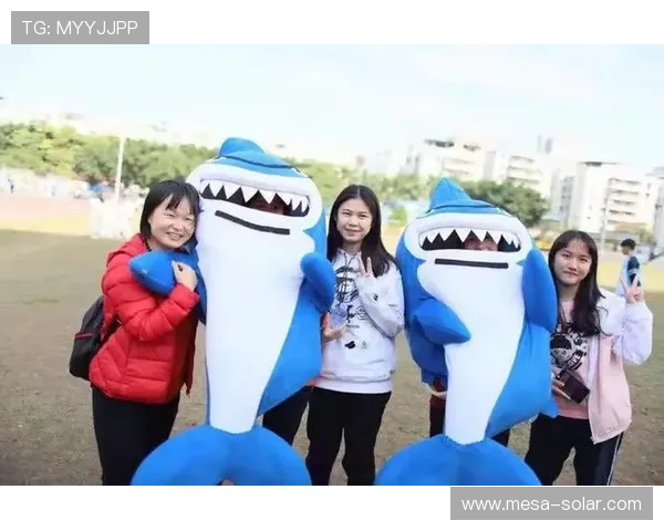 必赢体育登录注册流程详解，帮助新手快速掌握账号创建与登录技巧